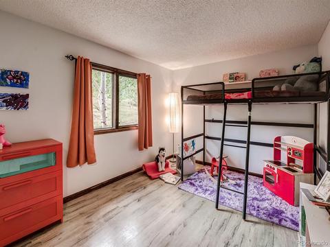 256 S Pine Dr, Bailey, CO 80421 photo 26