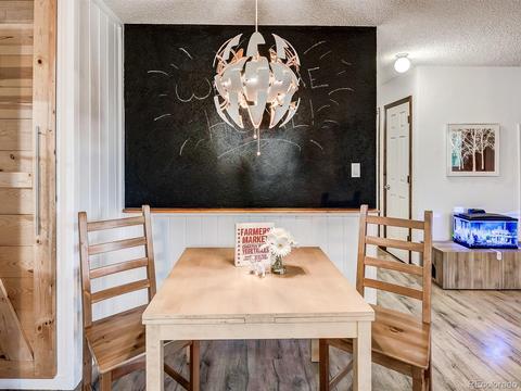 256 S Pine Dr, Bailey, CO 80421 photo 18
