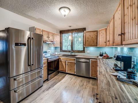256 S Pine Dr, Bailey, CO 80421 photo 19