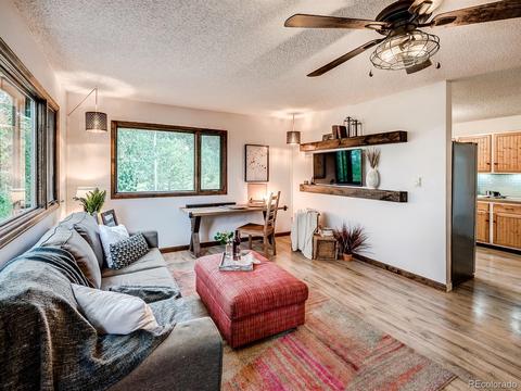 256 S Pine Dr, Bailey, CO 80421 photo 14