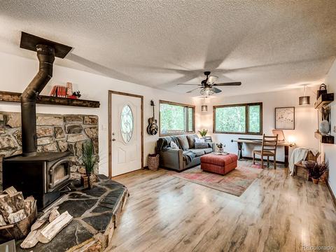 256 S Pine Dr, Bailey, CO 80421 photo 12