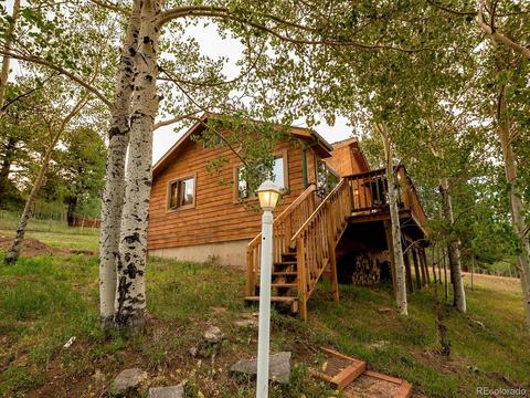 256 S Pine Dr, Bailey, CO 80421 photo 8
