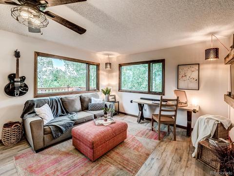 256 S Pine Dr, Bailey, CO 80421 photo 13