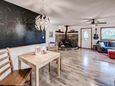 256 S Pine Dr, Bailey, CO 80421 photo 17