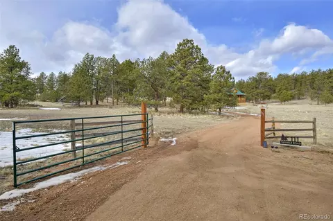 Other - 111 Twinkle Rd, Guffey, CO 80820 photo 14 of 15
