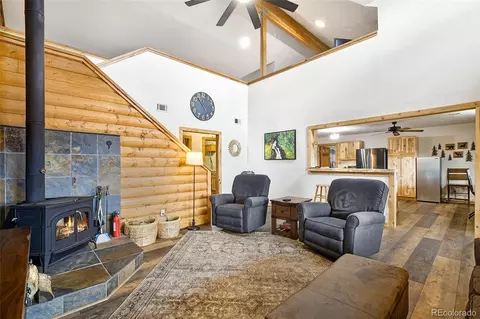 Living - 111 Twinkle Rd, Guffey, CO 80820 photo 2 of 4