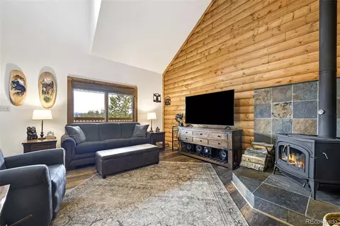Living - 111 Twinkle Rd, Guffey, CO 80820 photo 4 of 4