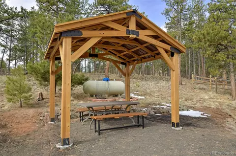 Other - 111 Twinkle Rd, Guffey, CO 80820 photo 3 of 15