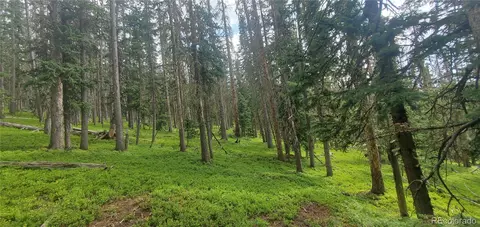 lot6542 Schlueter Rd, Fort Garland, CO 81133
