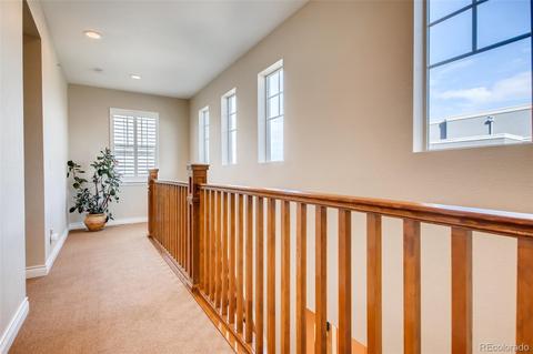 9075 E 29th Pl, Denver, CO 80238 photo 18