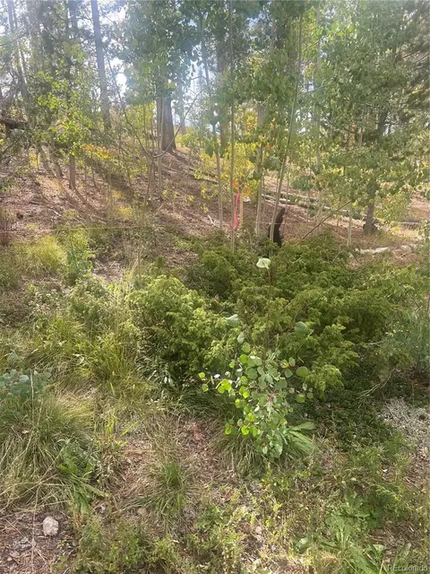 Sunshine Loop, Fairplay, CO 80440 photo 4