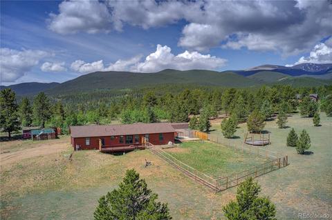 597 Clark Rd, Bailey, CO 80421 photo 4