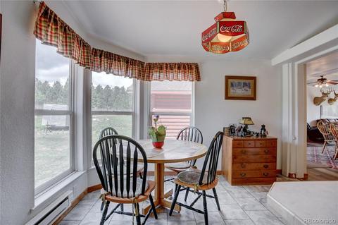 597 Clark Rd, Bailey, CO 80421 photo 20