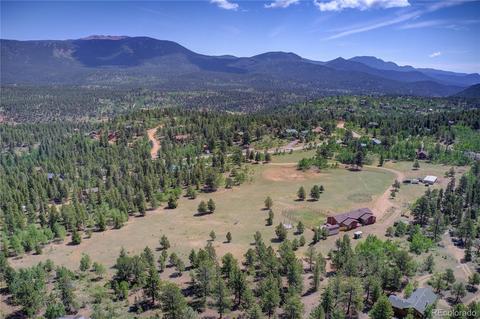 597 Clark Rd, Bailey, CO 80421 photo 8