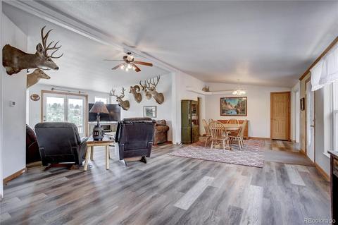 597 Clark Rd, Bailey, CO 80421 photo 22