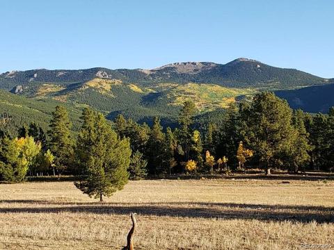 597 Clark Rd, Bailey, CO 80421 photo 33