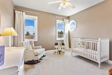 931 Forest View Rd, Monument, CO 80132 photo 33
