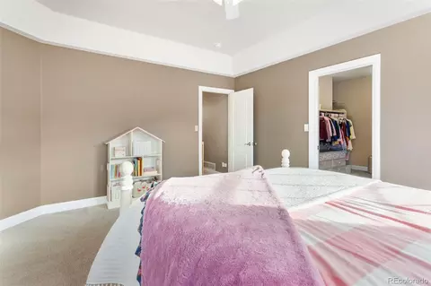 931 Forest View Rd, Monument, CO 80132 photo 30