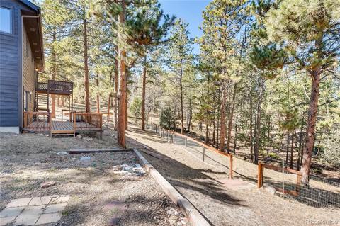 163 Doe Cir, Bailey, CO 80421 photo 24