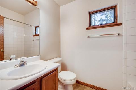 163 Doe Cir, Bailey, CO 80421 photo 19