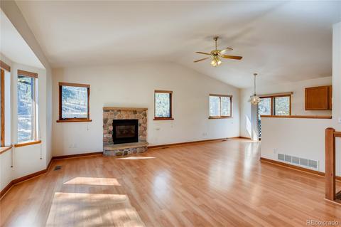 163 Doe Cir, Bailey, CO 80421 photo 4