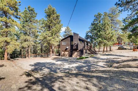 163 Doe Cir, Bailey, CO 80421 photo 28