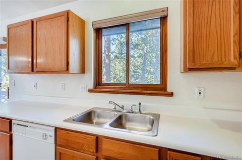 163 Doe Cir, Bailey, CO 80421 photo 10
