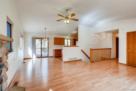 163 Doe Cir, Bailey, CO 80421 photo 6