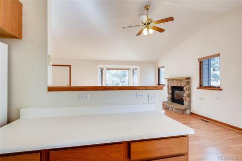 163 Doe Cir, Bailey, CO 80421 photo 11