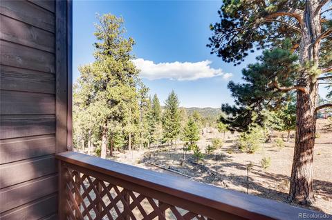 163 Doe Cir, Bailey, CO 80421 photo 34