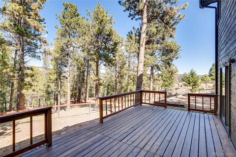 163 Doe Cir, Bailey, CO 80421 photo 21