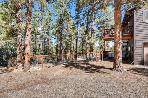 163 Doe Cir, Bailey, CO 80421 photo 23