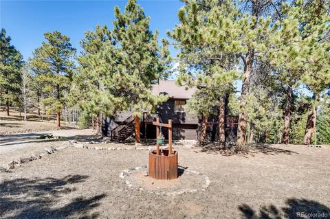 163 Doe Cir, Bailey, CO 80421 photo 3