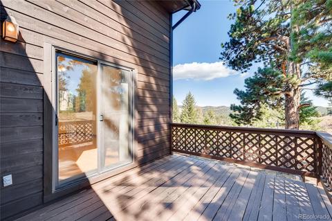 163 Doe Cir, Bailey, CO 80421 photo 33