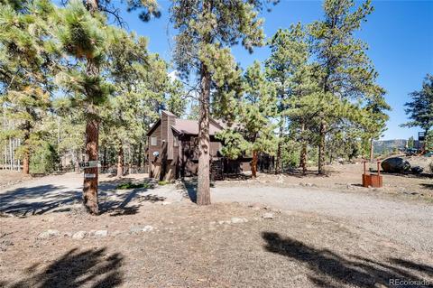 163 Doe Cir, Bailey, CO 80421 photo 2