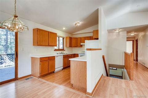 163 Doe Cir, Bailey, CO 80421 photo 7