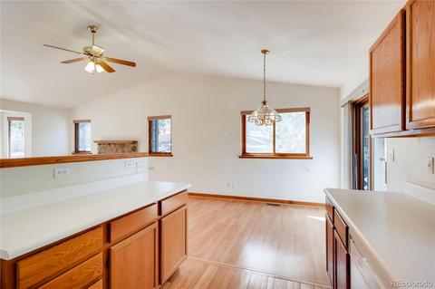 163 Doe Cir, Bailey, CO 80421 photo 9