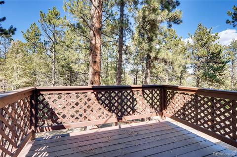 163 Doe Cir, Bailey, CO 80421 photo 20
