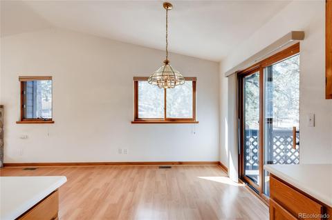 163 Doe Cir, Bailey, CO 80421 photo 12