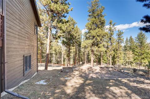 163 Doe Cir, Bailey, CO 80421 photo 31