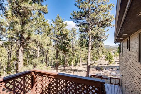 163 Doe Cir, Bailey, CO 80421 photo 29