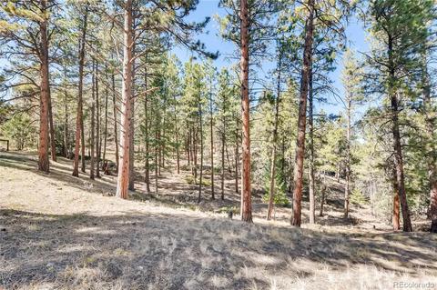 163 Doe Cir, Bailey, CO 80421 photo 32