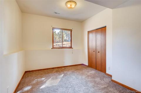 163 Doe Cir, Bailey, CO 80421 photo 18