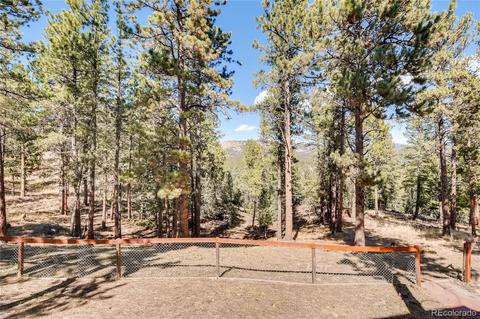163 Doe Cir, Bailey, CO 80421 photo 30
