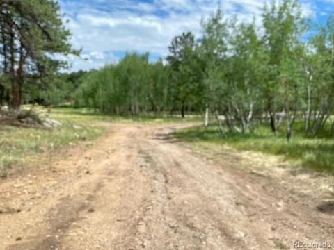 117 S Pine Dr, Bailey, CO 80421 photo 9