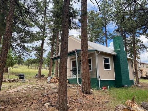 117 S Pine Dr, Bailey, CO 80421 photo 4