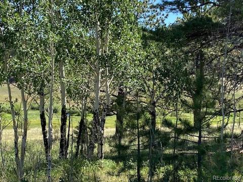 117 S Pine Dr, Bailey, CO 80421 photo 6