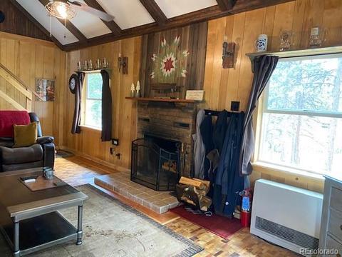 117 S Pine Dr, Bailey, CO 80421 photo 16