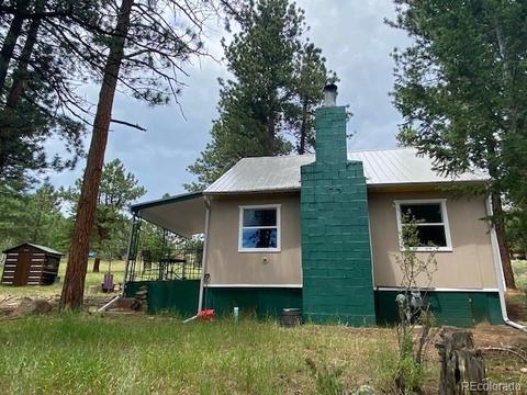 117 S Pine Dr, Bailey, CO 80421 photo 8
