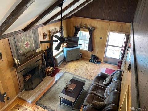 117 S Pine Dr, Bailey, CO 80421 photo 14